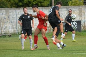 asteras karditsas-miltiadhs 1